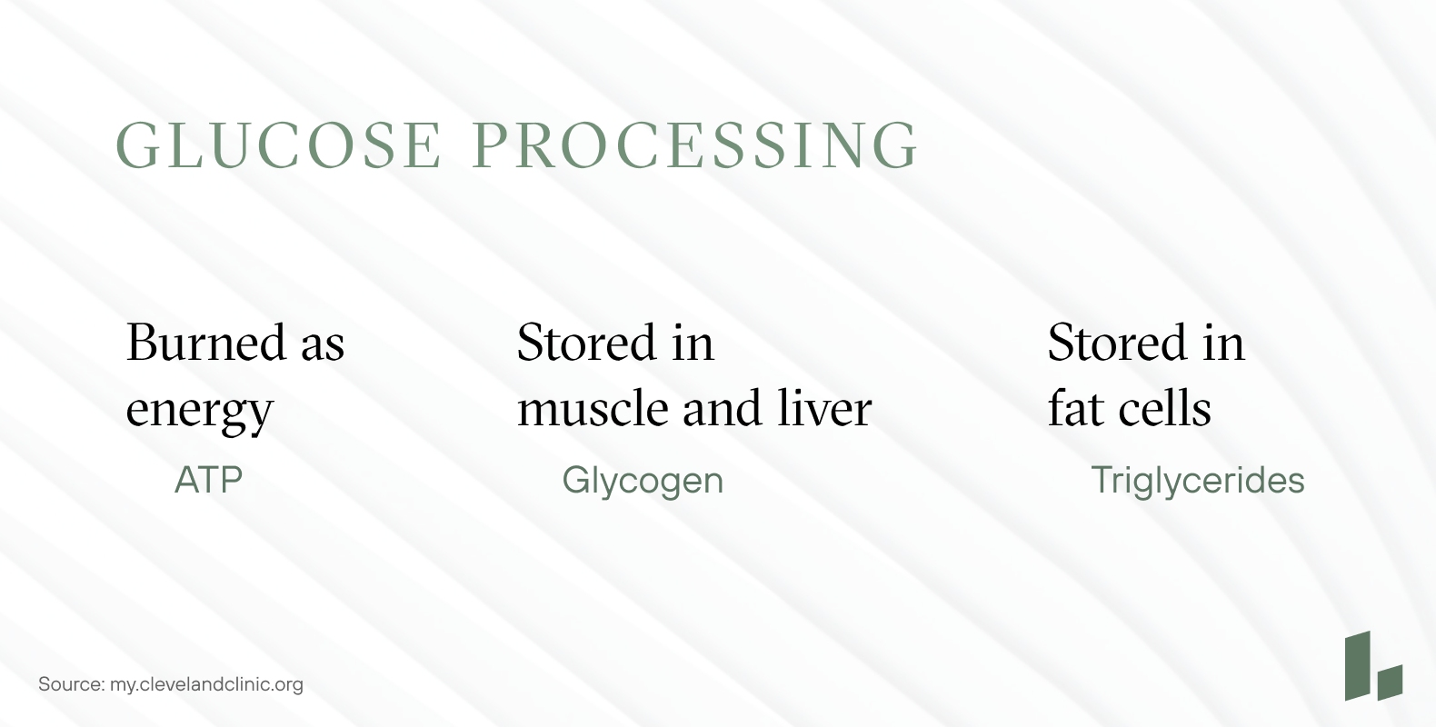how glucose processing works