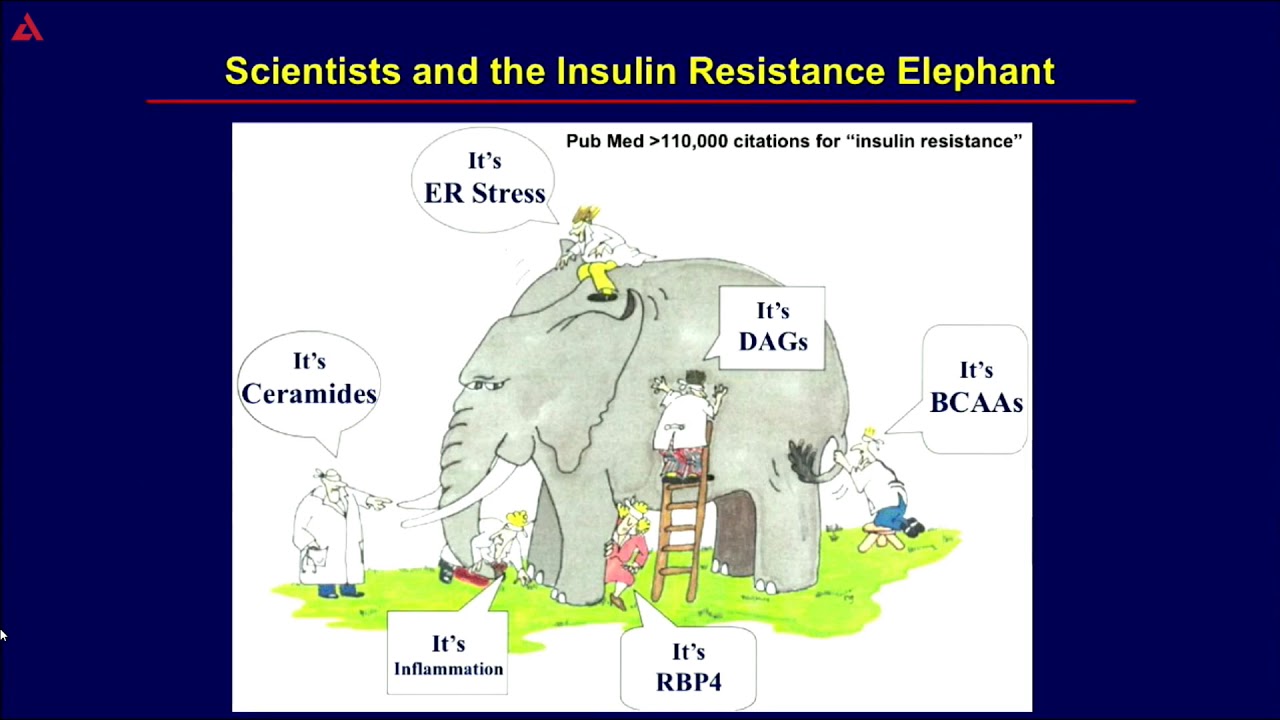 Mechanisms of Insulin Resistance