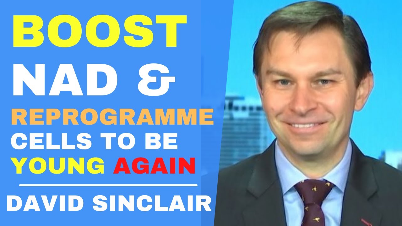 Dr David Sinclair Interview Clips
