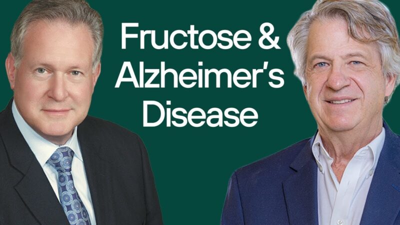 Does fructose cause Alzheimer's disease?