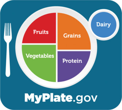 myplate government eating standards